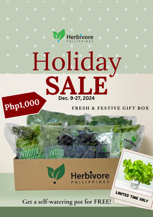 FRESH & FESTIVE GIFT BOX