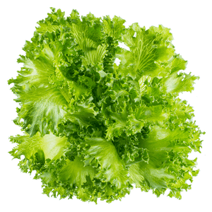 Crystal Lettuce