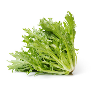 Frisée Lettuce (Curly Endive)