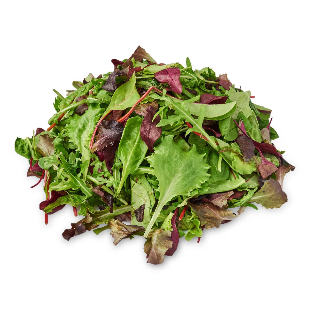 Mesclun Salad Mix – Herbivore Philippines