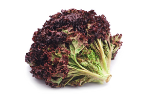 Red Lettuce